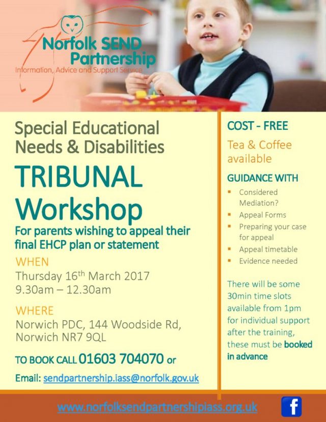 thumbnail of TribunalWorkshop2017