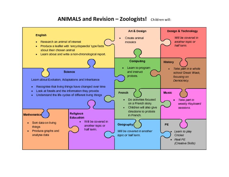 thumbnail of Y6 – Zoologists