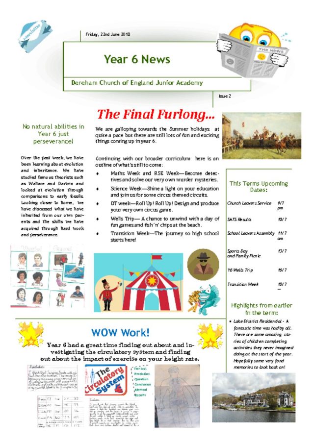 thumbnail of Year 6 Newsletter 25.06.18