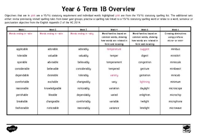 thumbnail of Year 6 Term 1B – Overview