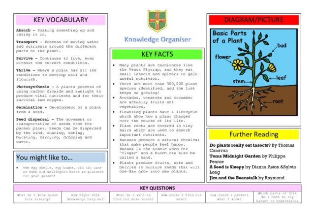 thumbnail of Knowledge organiser Plants